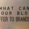 what-can-your-blog-offer-to-brands
